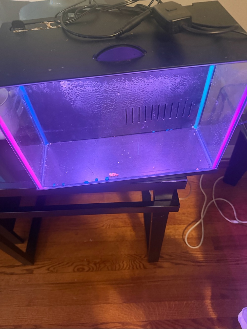 LED Aquarium Tank with Purple Accent Lighting - Pet Fish Habitat